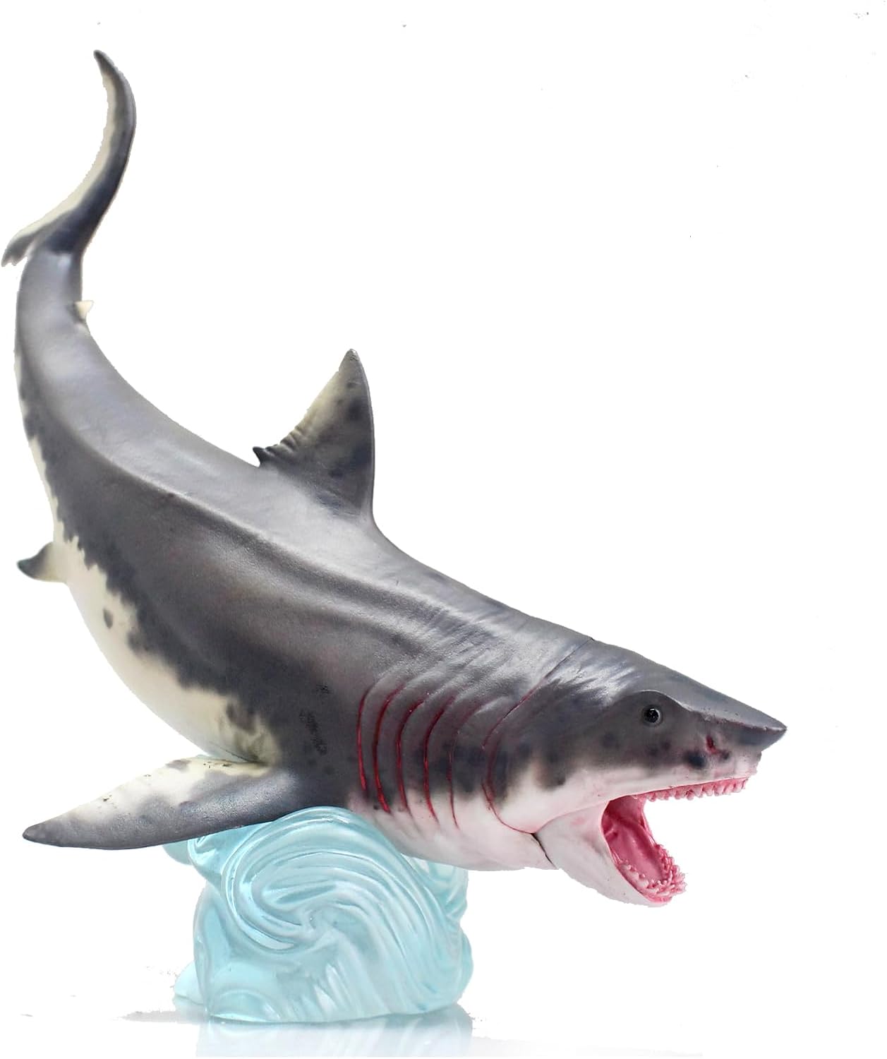 Otodus Megalodon