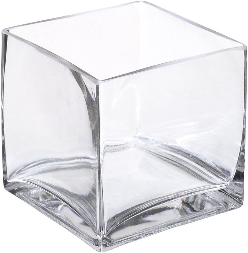 Afloral Clear Glass Square Vase - 5" Tall