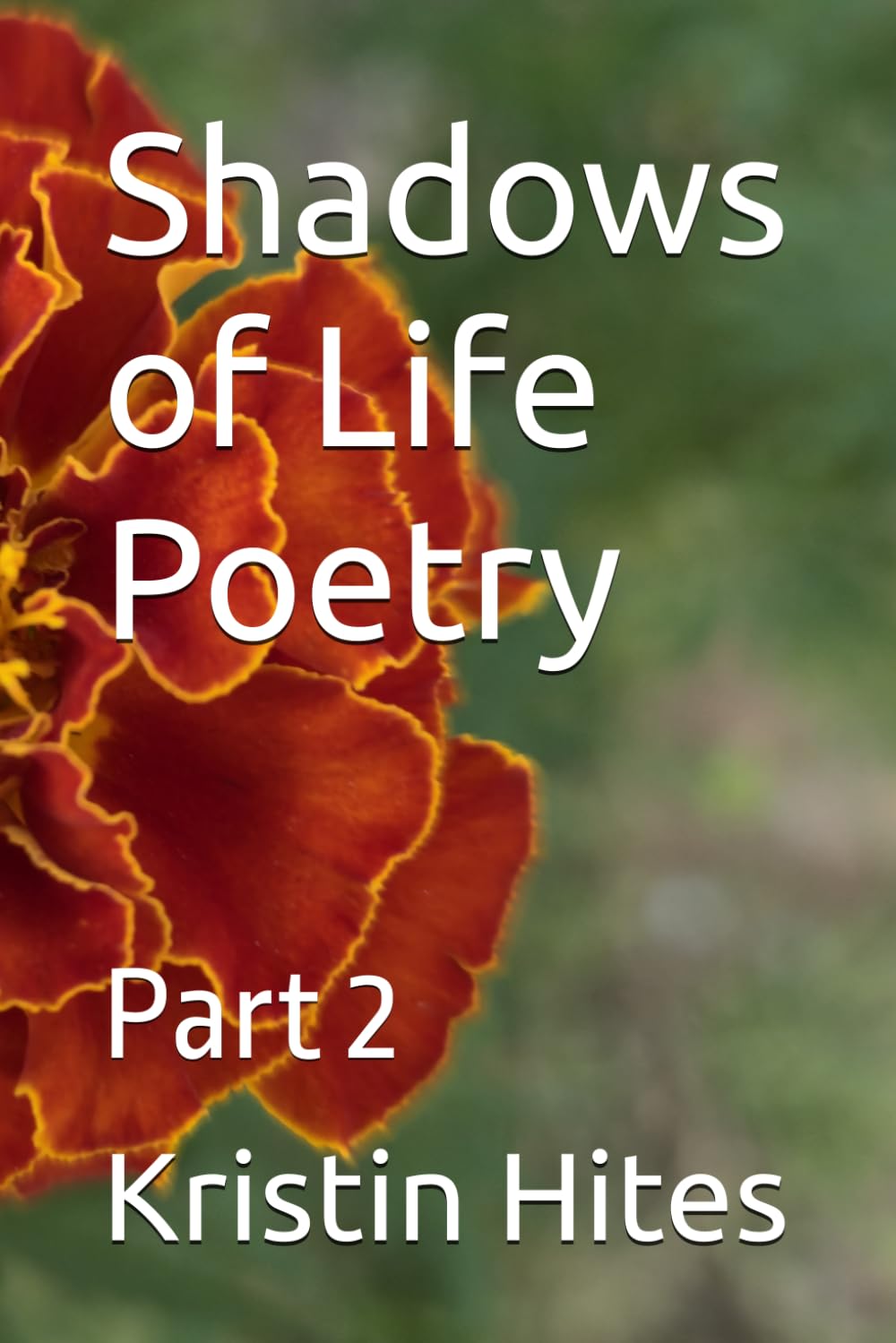 Shadows of Life Poetry: Part 2 (Shadows of Life Poetry Collection)