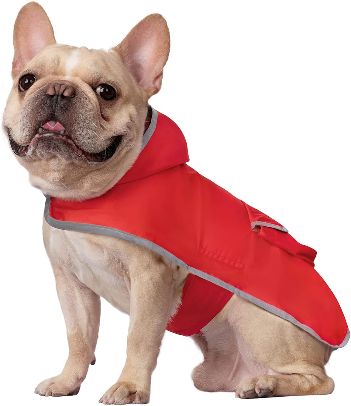 dog raincoat and wellies