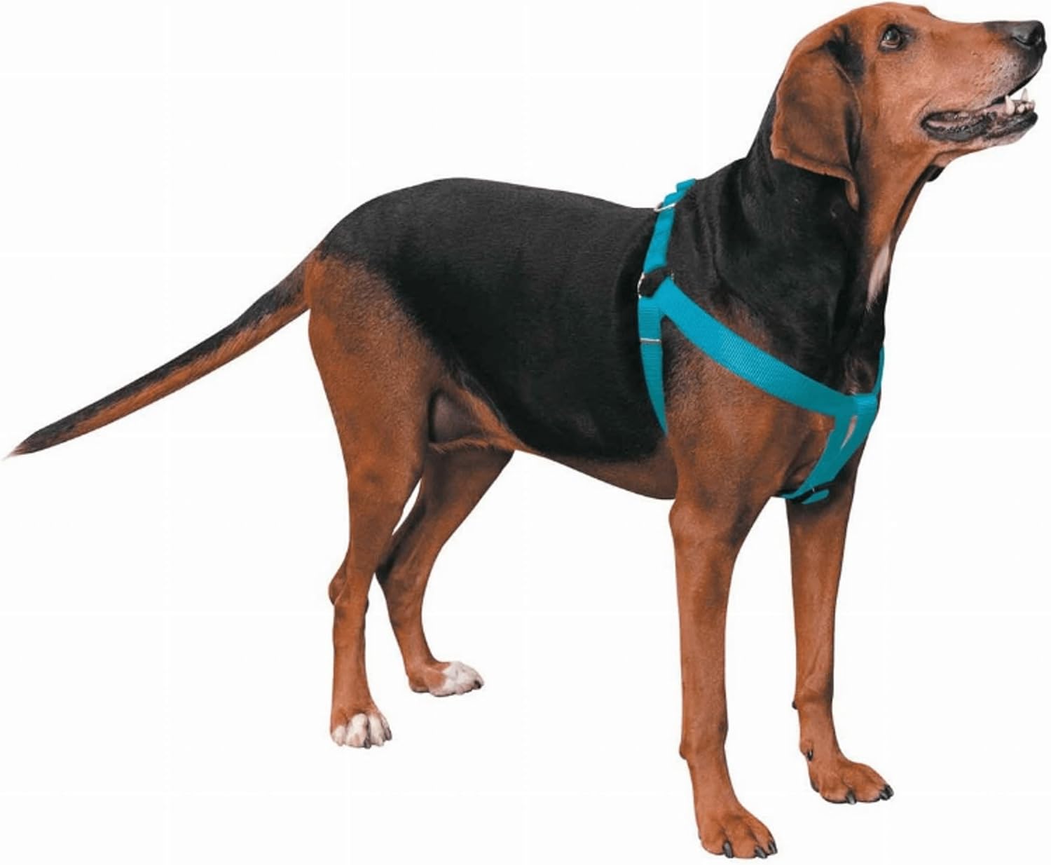 Guardian Gear 2 Step Pet Harness