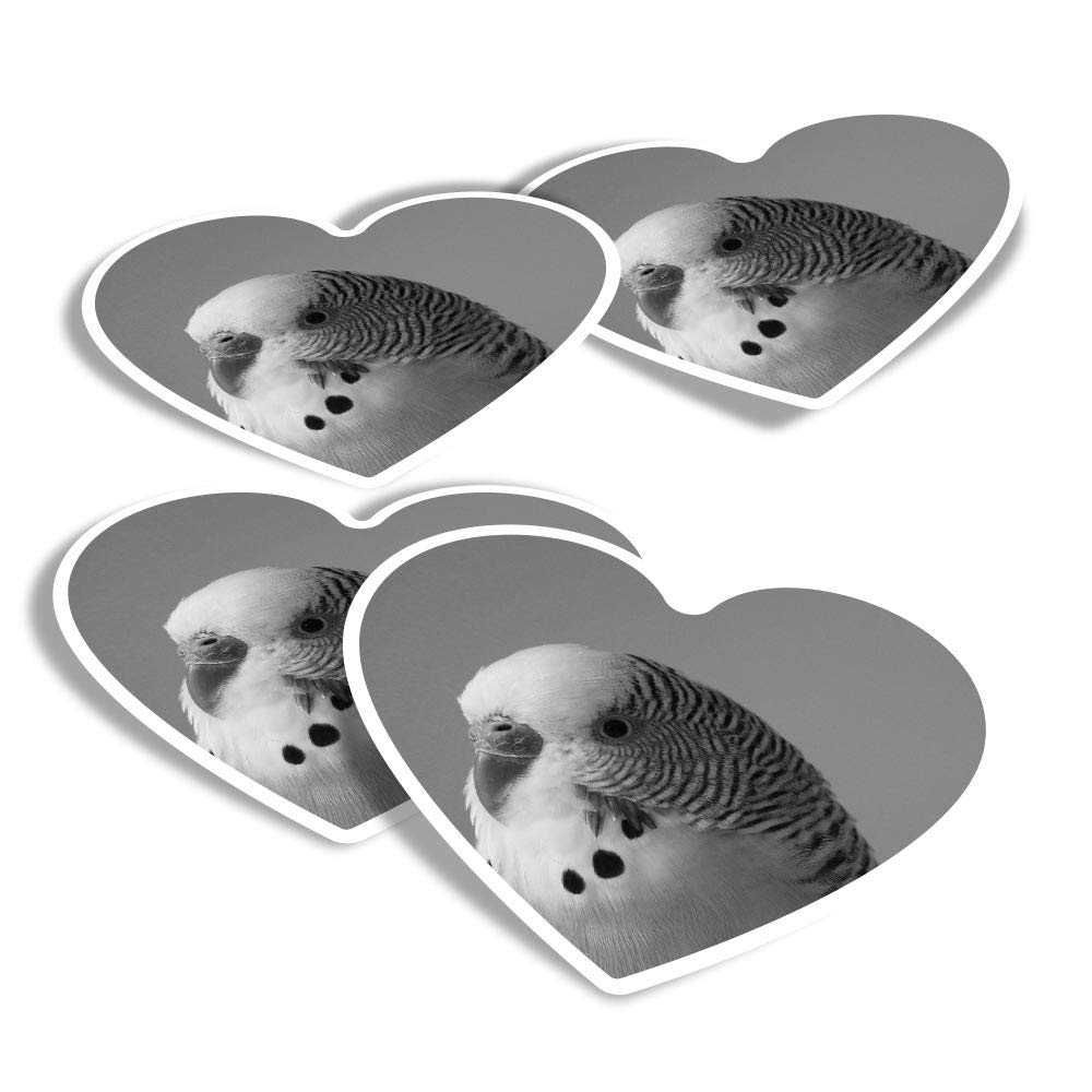 Destination Vinyl Ltd Multi Vinyl Heart Stickers (Set Of 4) - Bw - Budgie Bird Birds Fun Decals For Laptops,Tablets,Luggage,Scrap Booking,Fridges #42076