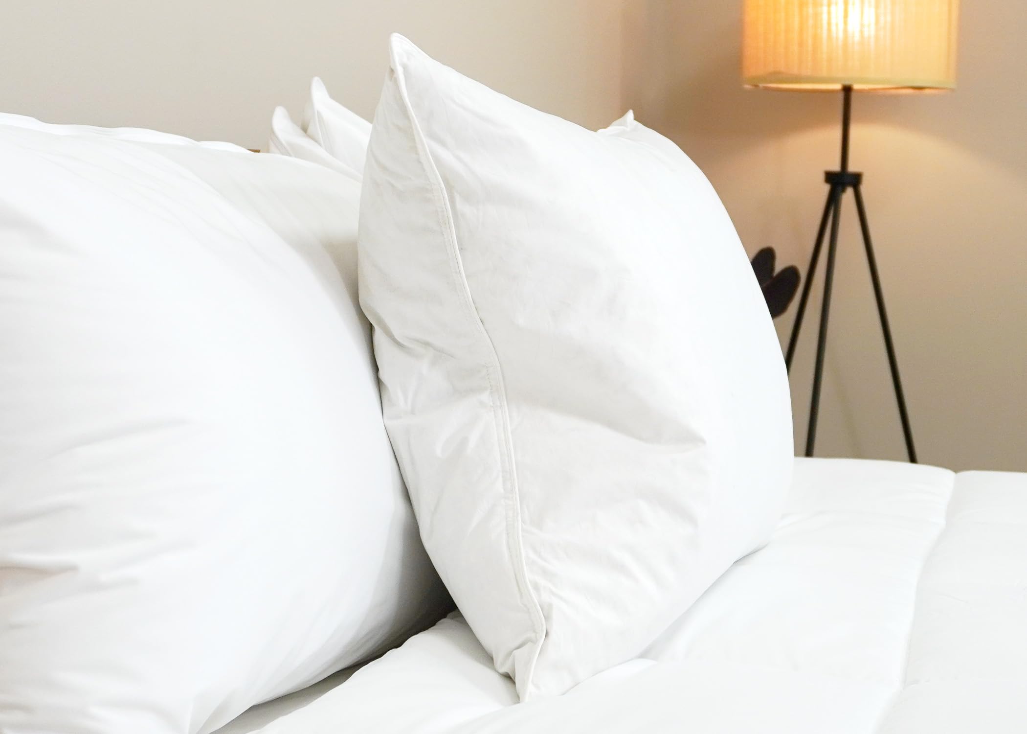 Amazon｜Pillowtex Luxury枕 King (20