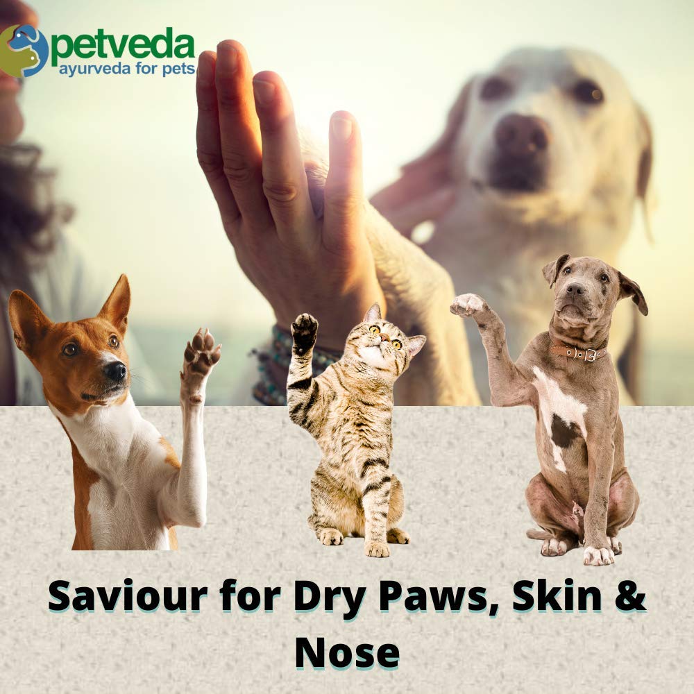 Petveda Moisturizing Paw Butter for Dogs & Cats | Natural Paw Cream with Shea Butter & Coconut Oil | Soothes, Heals & Protects Dry Paws, Node & Rough Elbows - 30gm