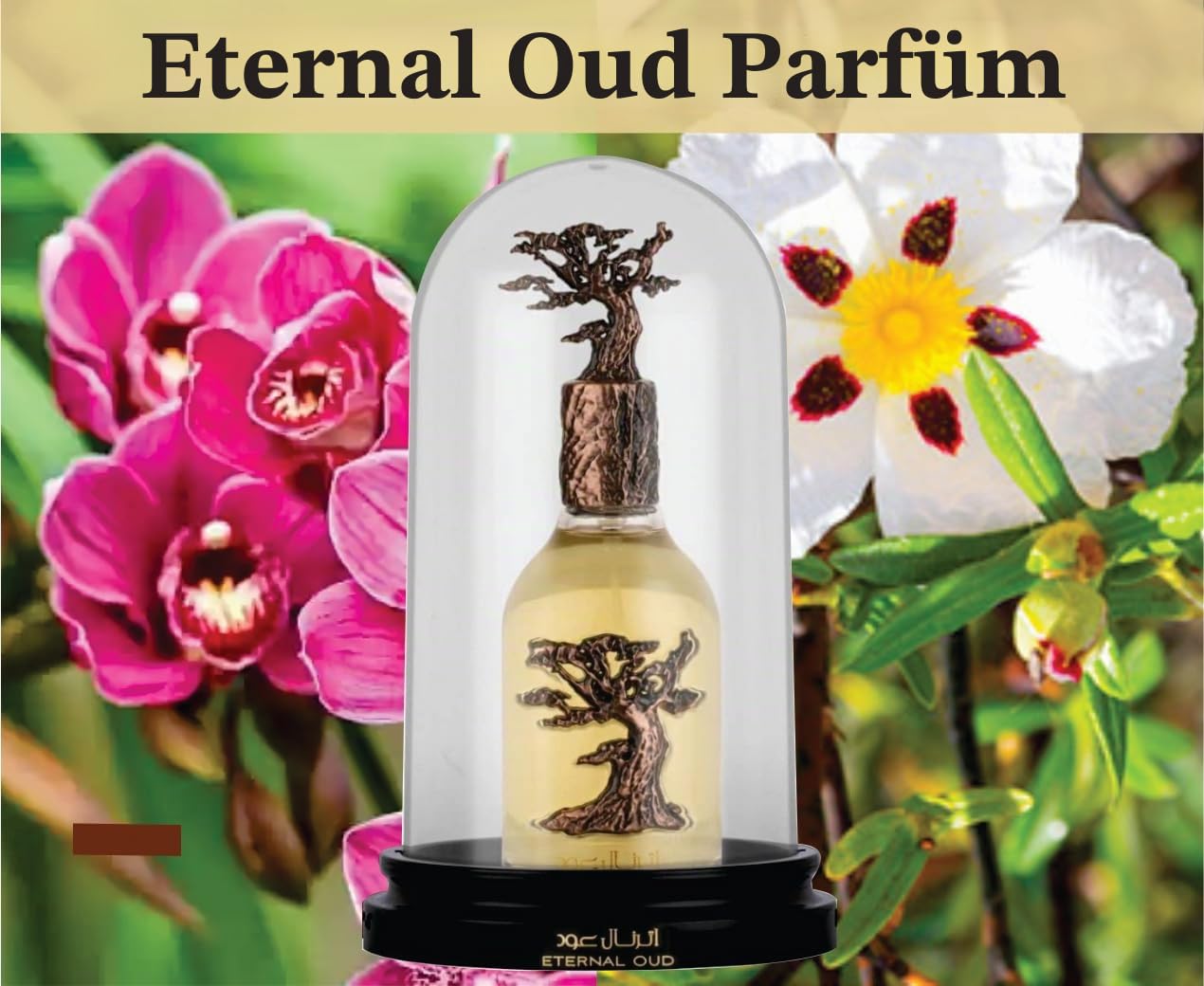 Sapphire's Choice Eternal Oud Parfüm | Vanille, Oud und Bernstein Duft | Unisex Edp Eau de Parfum 100ml für Damen und Herren