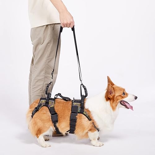 Coodeo Arnés de elevación para perros, soporte de cuerpo completo y eslinga de recuperación, chaleco de rehabilitación para patas traseras de