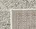 SAFAVIEH Adirondack Collection Accent Rug - 4' x 6', Ivory & Silver, Oriental Medallion Design, Non-Shedding & Easy Care, Ideal for High Traffic Areas in Entryway, Living Room, Bedroom (ADR108B)