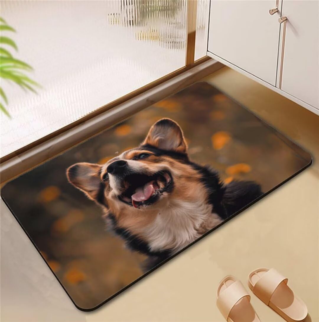 Tapis de bain animal 50x80cm antidérapant et absorbant lavable pour douche