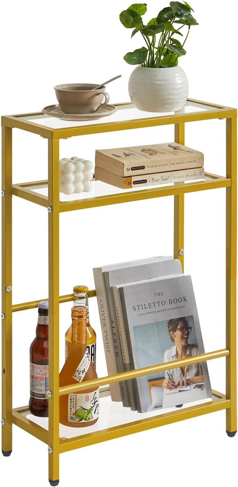 IBUYKE Glass End Table for Small Space, Narrow Side Tables with Storage Shelf, Bedside Table Slim Nightstand with Magazine Holder, for Living Room Home Office, Clear Gold TMZ002G