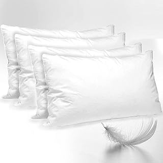 feather pillows big w