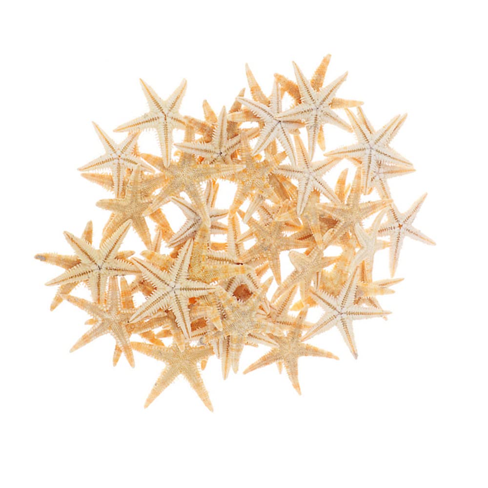 SKYPRO 100Pcs Finger Starfish, 3-5cm Natural Starfish Sea Shells Perfect for Party Wedding Decor, Home Decor, Christmas Ornaments, Fish Tank and Craft Project