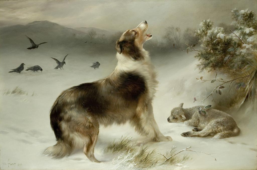 Amazon.com: HoofPrints Found Collie Dog & Lamb Print By Walter