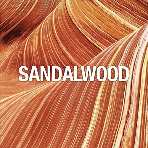 Curve Curve for Men, Men's Fragrance 3 Piece Gift Set, 2.5 Fl. Oz. Eau De Cologne, 3 Count, aftershave/deodorant - Image 6