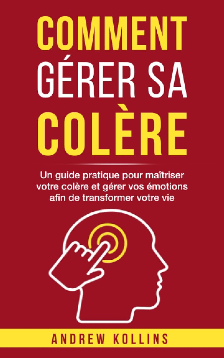 Comment gérer sa colère de Andrew Kollins
