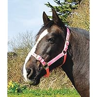 Capezzina In Pile Nero Per Cavallo Rhinegold - Morbida E Regolabile Per Massimo Comfort - Foto 3