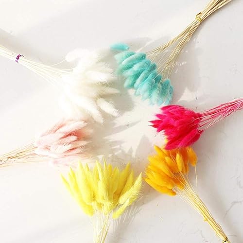 Miniatura 8 de 30 piezas de hierba seca de cola de conejo, hierbas secas naturales, flores secas para arreglos florales, boda, decoración del hogar, H