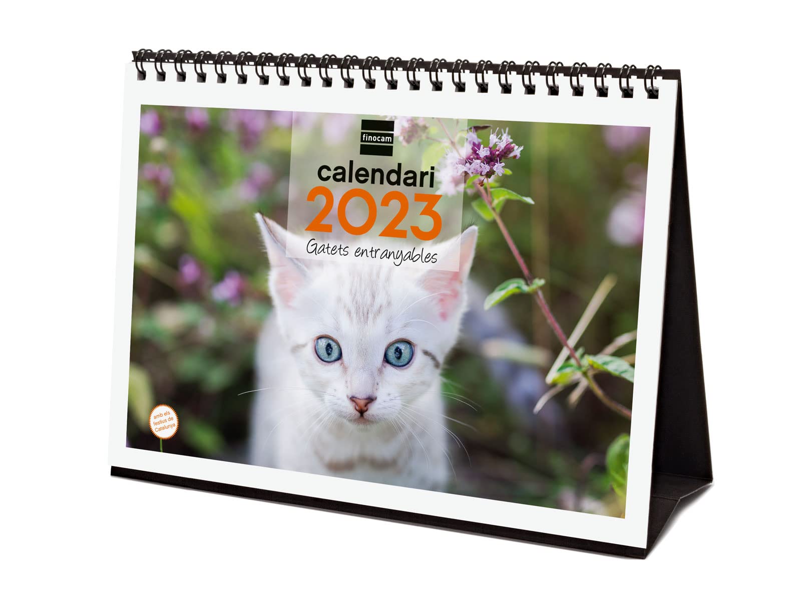Finocam - Calendar 2023 Desktop Images to Write January 2023 - December 2023 (12 months) Catalan Kittens