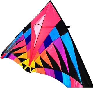 Kite Large Kite Adults Flying Toys Ripstop Nylon Sport Kite String Reel Kite Cerf Volant Parachute Interesting (Color : 5m Kite)