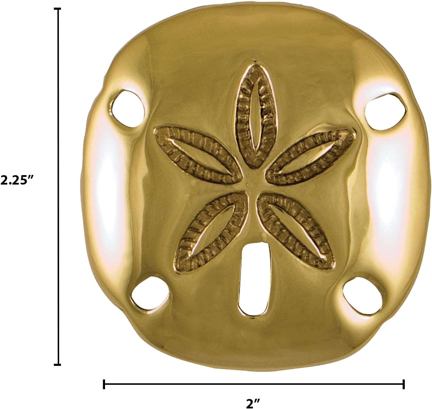 Sand Dollar Doorbell Ringer - Brass,
