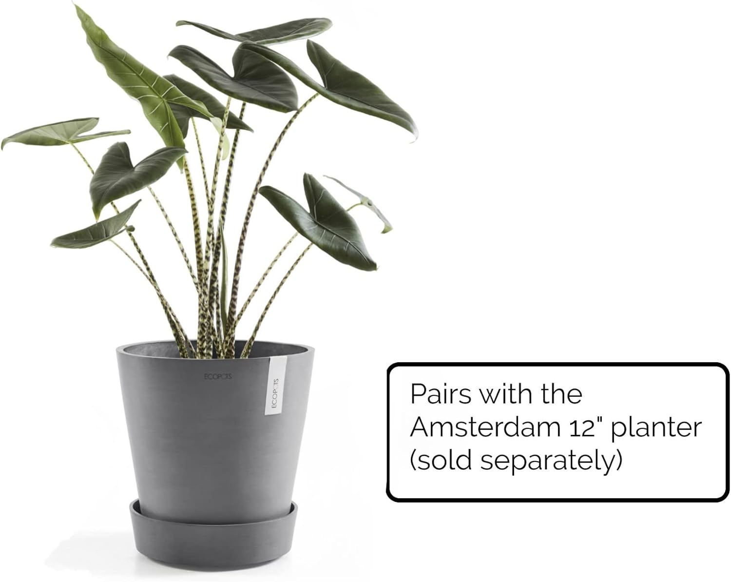 Ecopots Recycled Plastic Round Flower Pot Planter Saucer with Wheels, 11", Grey