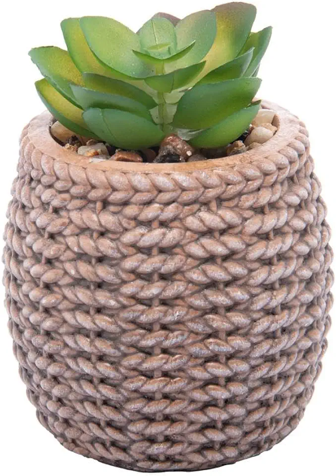 WOLFF Cachepot de Cerâmica com Suculenta Sisal 7,5cm x 7,5cm X 10,5cm