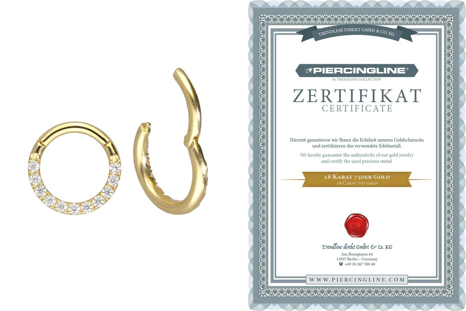 PIERCINGLINE 750er Gold Segmentring Clicker | 18 Karat | EINGEFASSTE Kristalle | Piercing Ring Nase Septum Ohr Helix | Farb & Größenauswahl