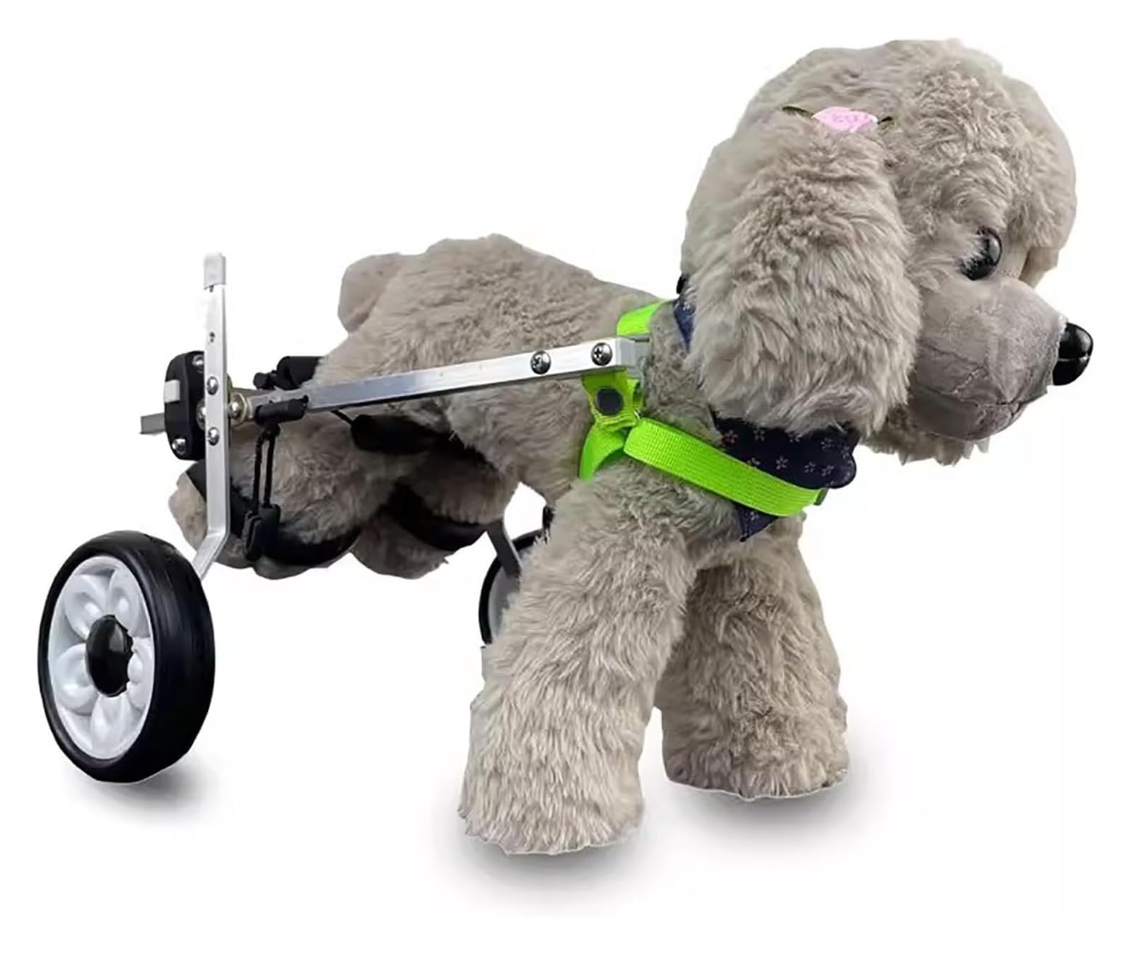 Chariot chien handicapé en balade : redonnez de la liberté à votre animal à mobilité réduite L