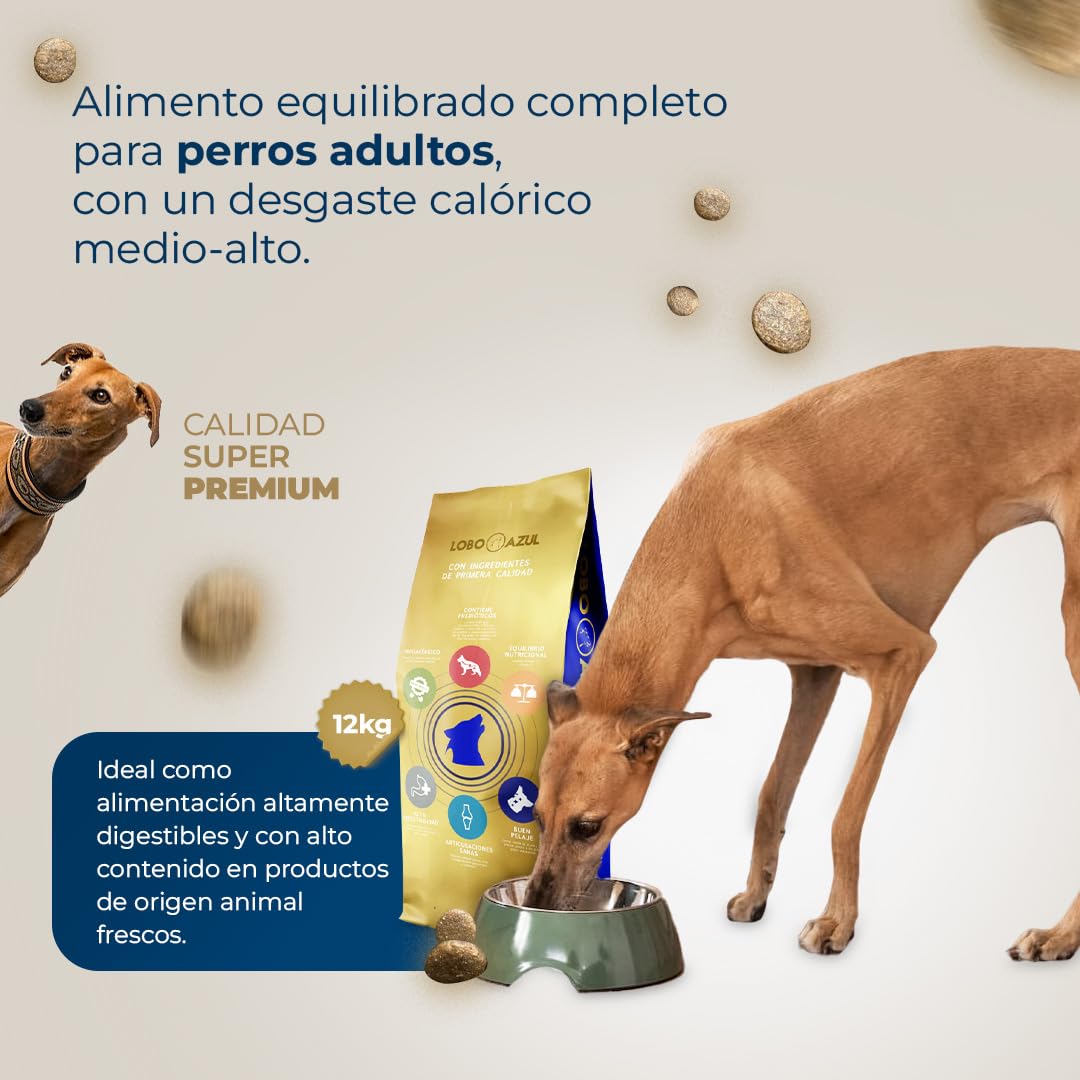 Pienso para Perros sin Cereales de Pollo Fresco y Pavo - Comida Natural e Hipoalergénica para Perros Adultos - Alimento Completo y Digestible - 12kg Lobo Azul Adult Chicken & Turkey