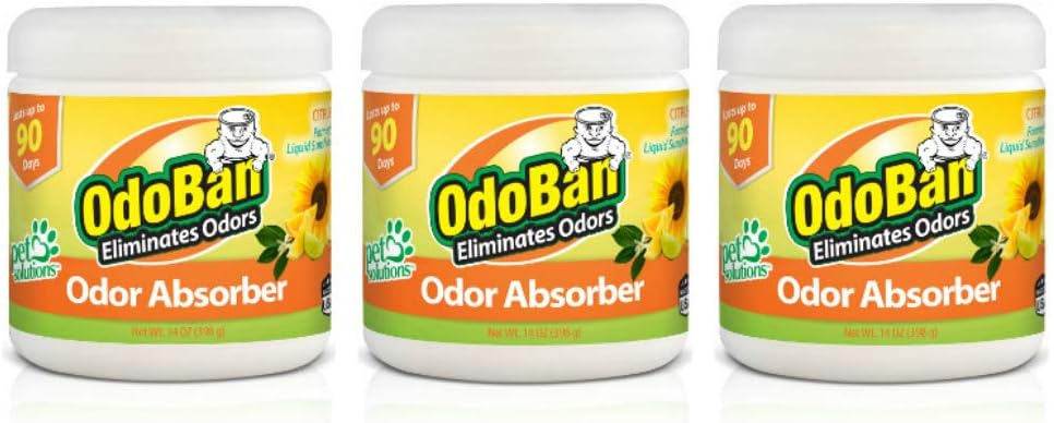 Amazon.com: OdoBan Real Citrus Air Freshener, Orange (10oz, 2 : Home