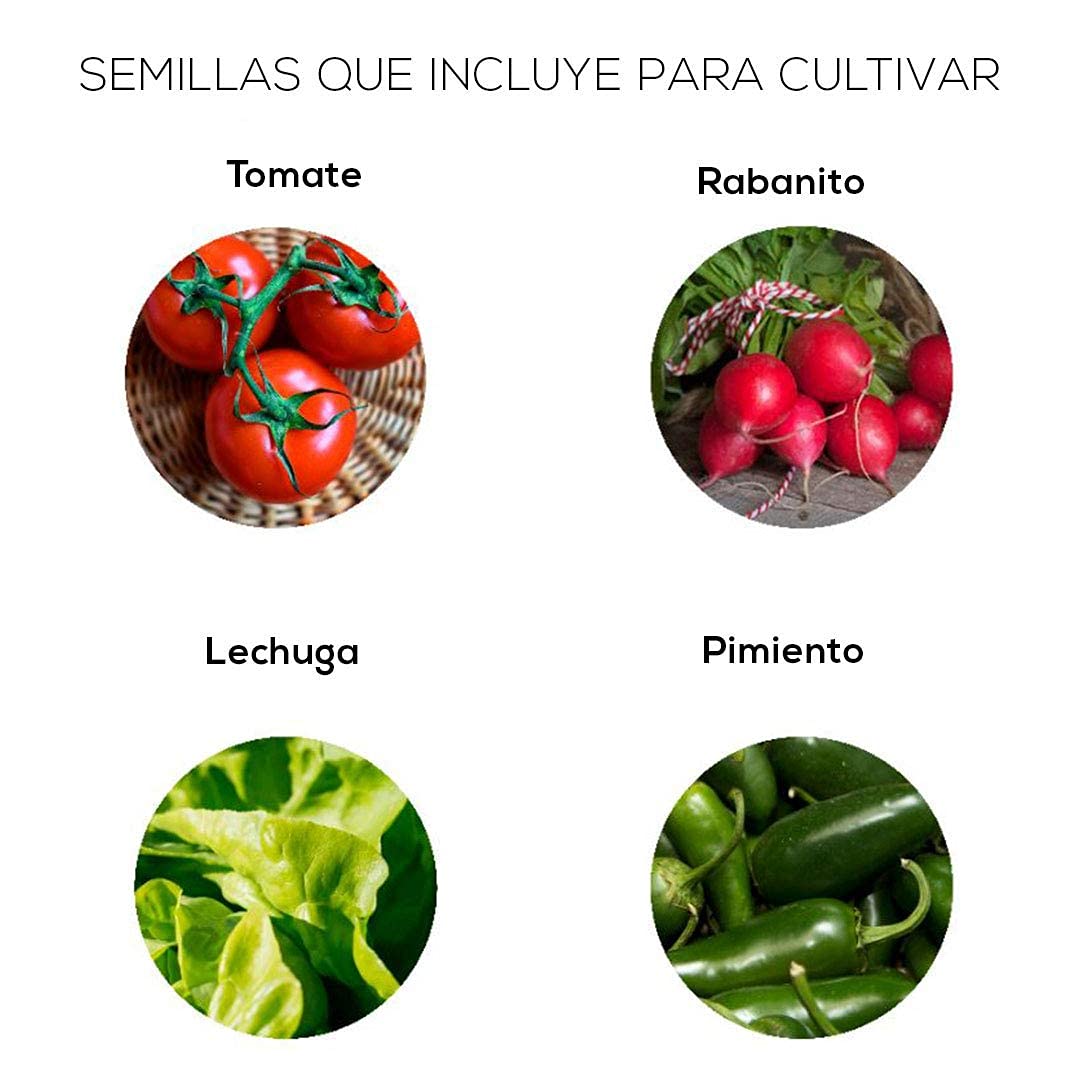 PLANTAWA Kit de Cultivo, Huerto Urbano para Plantar en Casa, Kit de Cultivo Completo, con Semillas de Plantas de Interior, Fabricado en España, Ecológico, Mini huerto niños