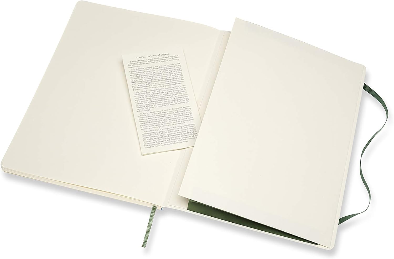 Moleskine Classic Notebook, Soft Cover, XL (7.5" x 9.5") Dotted, Myrtle Green, 192 Pages (8053853600080) : Office Products