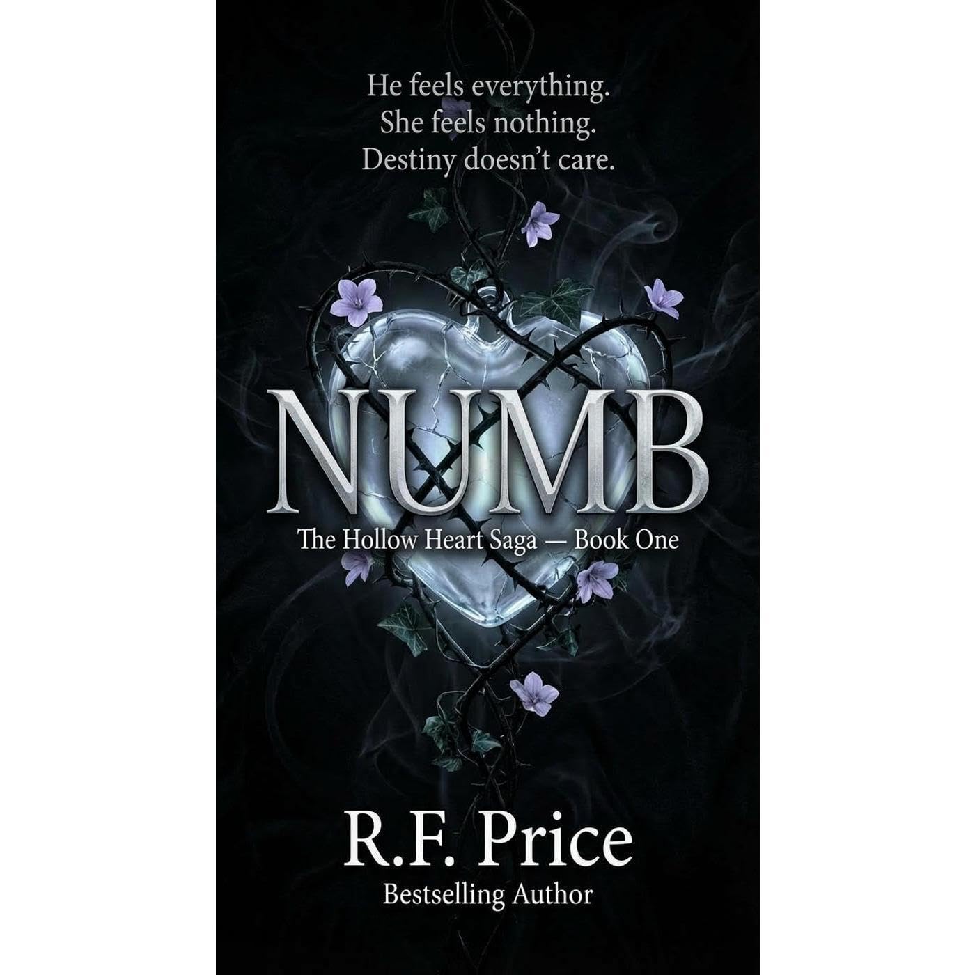 NUMB: A Teen & Young Adult Fantasy