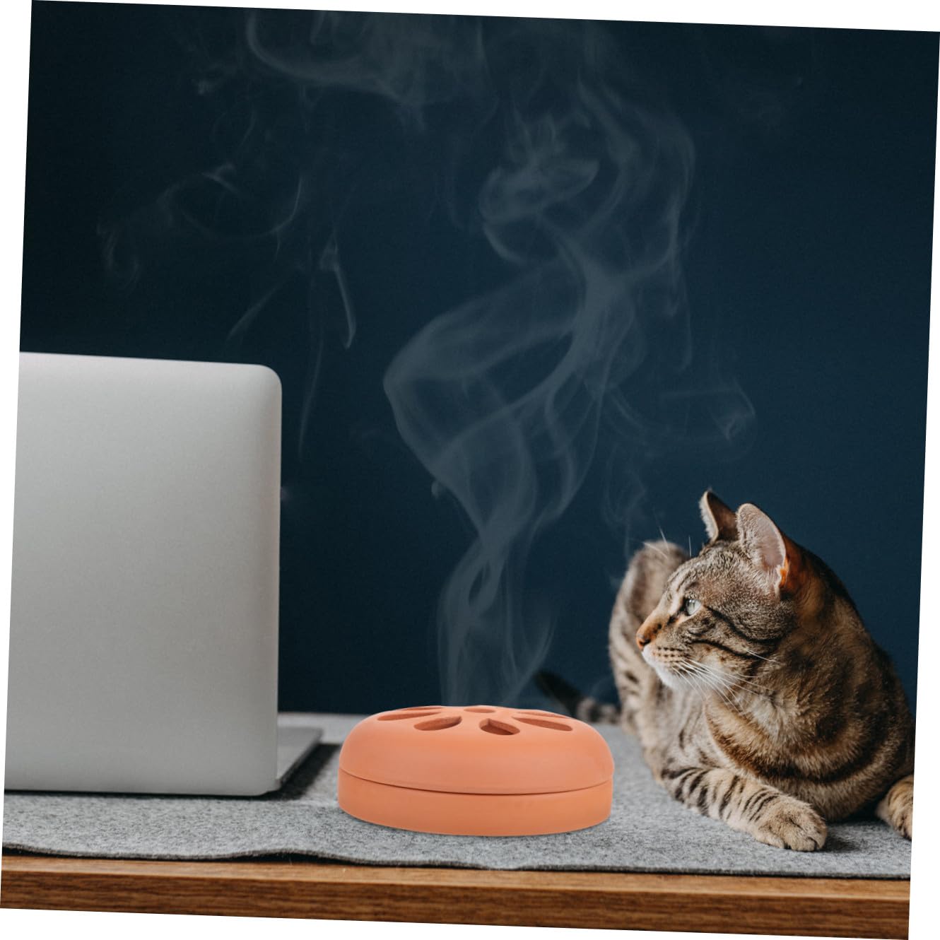 Bruciatore di Incenso in Terracotta, Set da 2 Pezzi Marrone