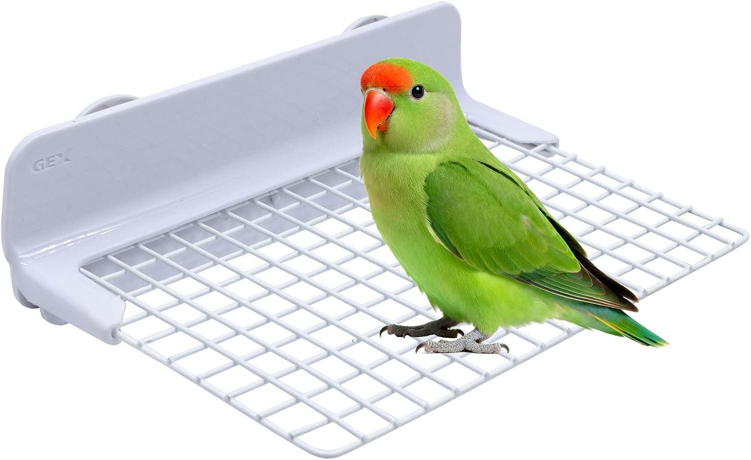 Bird Accessories for Cages, Iron Wire Standing Platform with Installation Accessories for Cage, Parrot Perch for Budgies, Cockatiels, Lovebirds, Green Cheeks, Small to Medium Birds