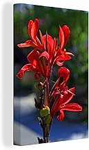 Medidor eletromagnético eletromagnético de campo detector de radiação dosímetro de emissão ferramenta testadora portátil home office detector de radiação ao ar livre dispositivo de medição de nível de temperatura e umidade monitores