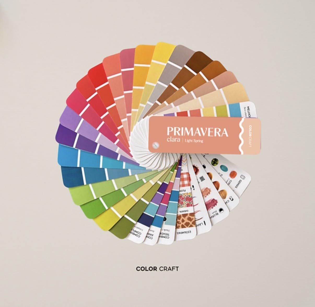 Light Spring Card Fan Palette, Practical Color Guide for Smart Shopping, Outfit Planning; Primavera Clara