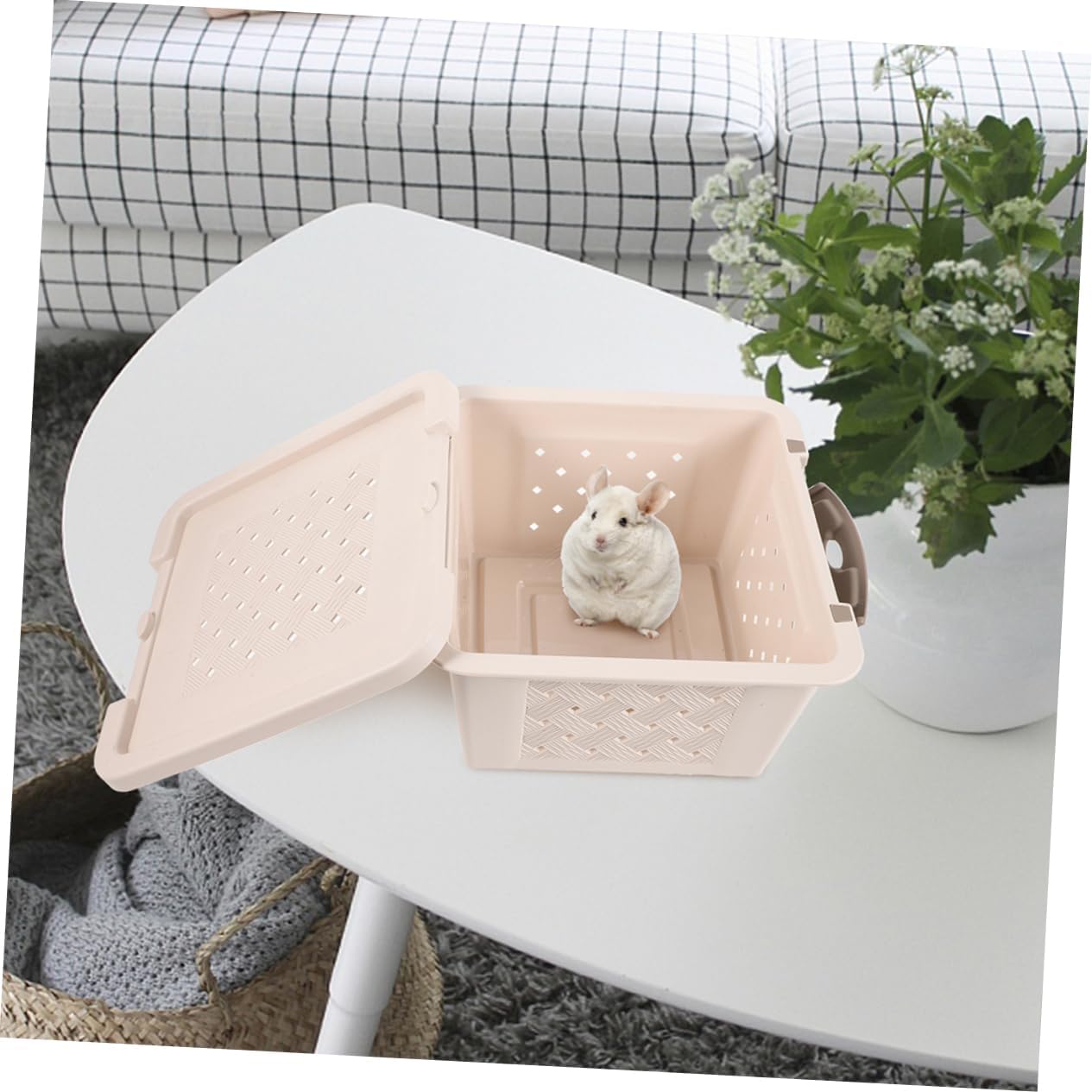 SUPVOX 2pcs Hamster Carrier Box Portable Small Animal Carrier Breathable Hamster Cage Pet Travel Storage Outdoor Pet Cage