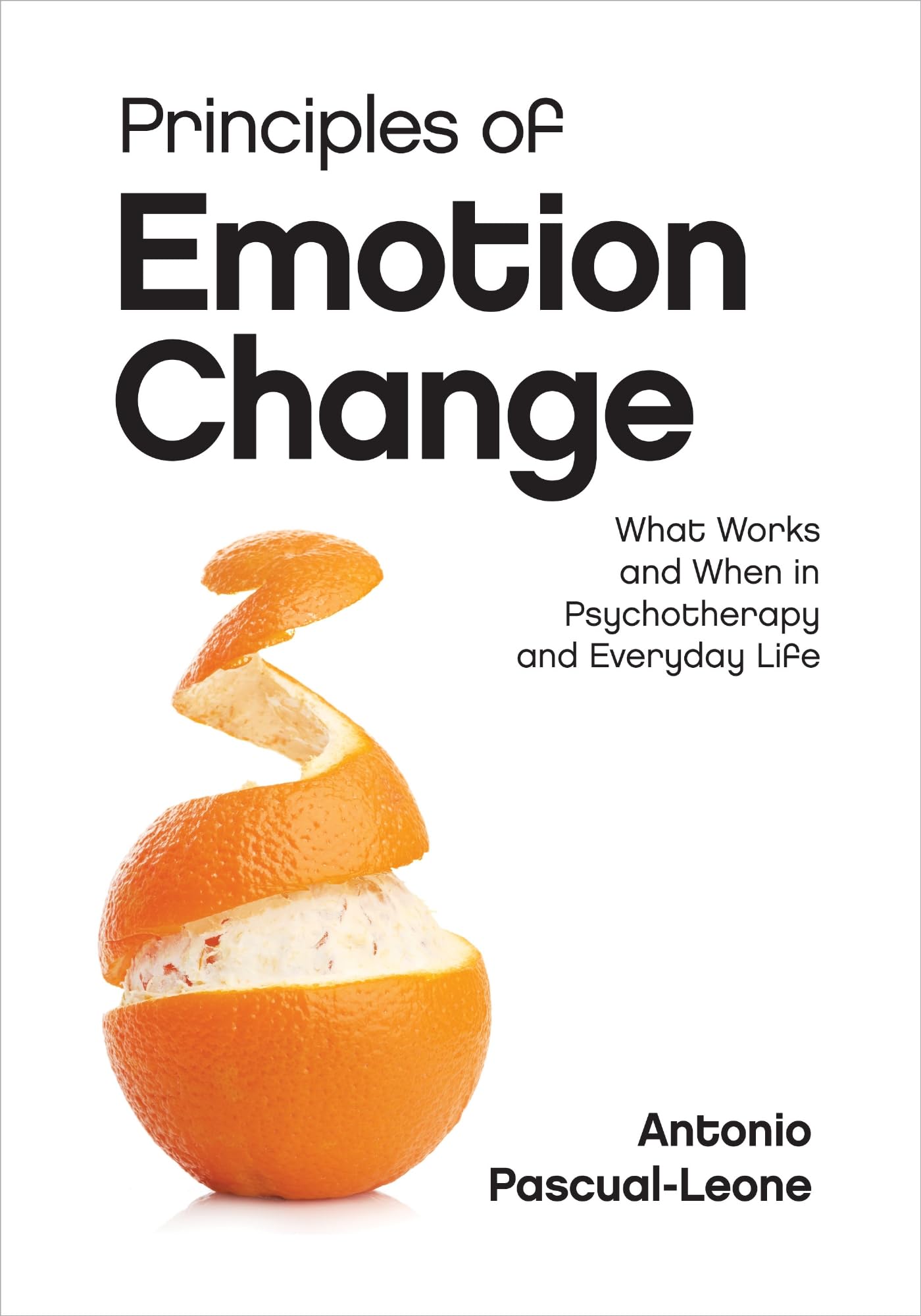 AKS療法　+Future DVD + Emotion's Disc Principles of Emotion Change: What Works and When in Psychotherapy
