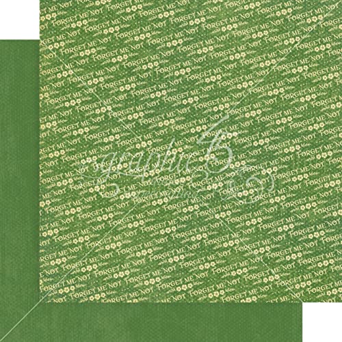 Graphic 45 Little Things 12X12 Patterns & Solids Pack #TOP5