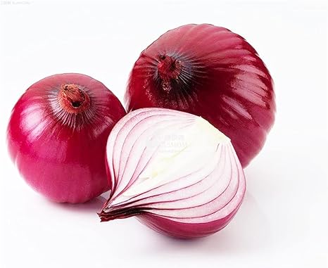 Amazon タマネギ 種価パック 菜園栽培の良い選択 繊細な緑の葉 有機野菜 野菜の種 菜園 栽培しやすい 0 個 花