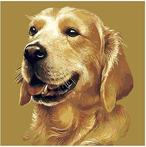 Amazon Co Jp 5dダイヤモンドデッサンdiydiyダイヤモンド刺繍クロス油絵犬フルスクエアダイヤモンド装飾 40x50cm ホビー