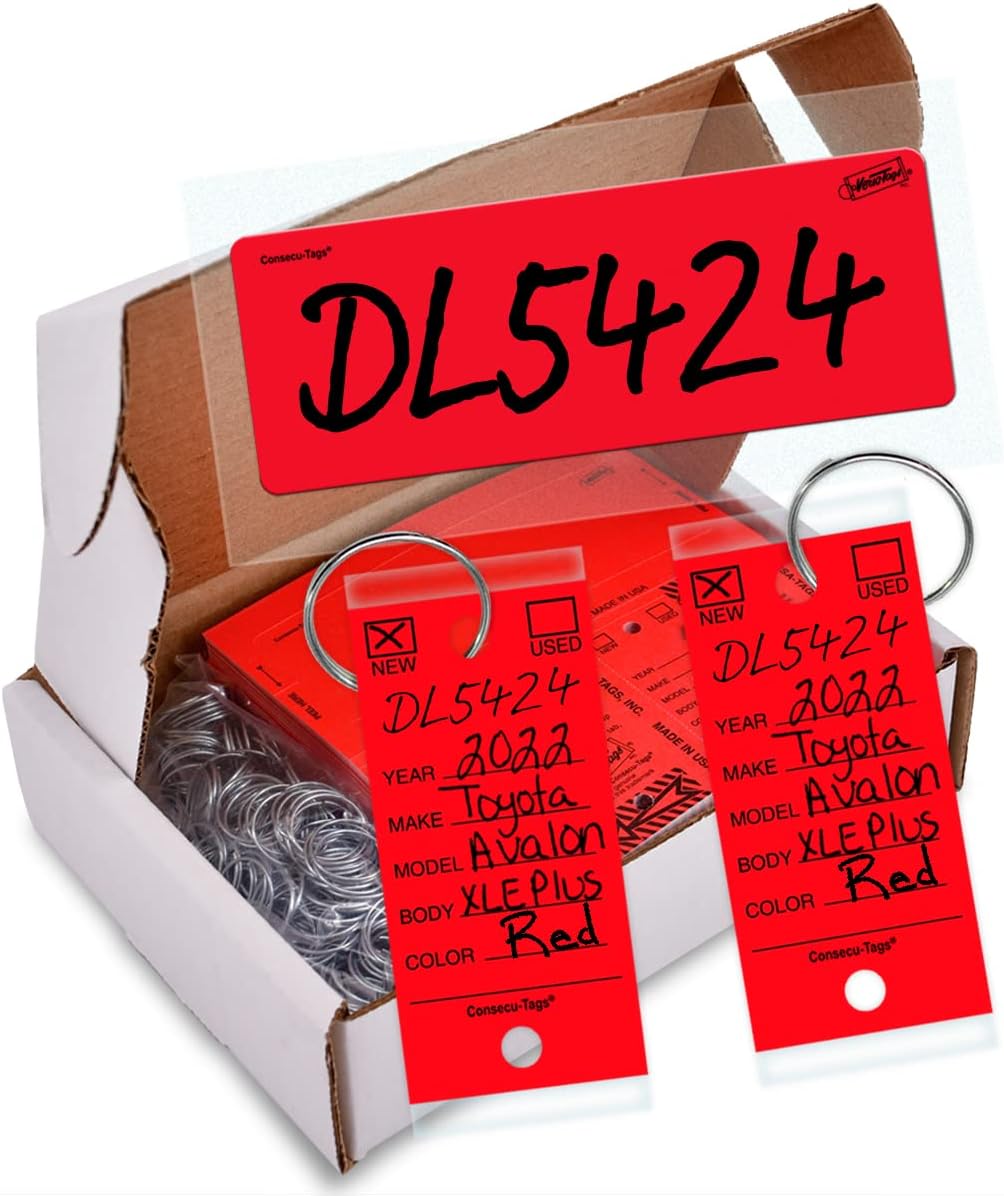 Amazon.com : Consecu-Tags 250 Key Tags with Rings Plus 125 Blank ...