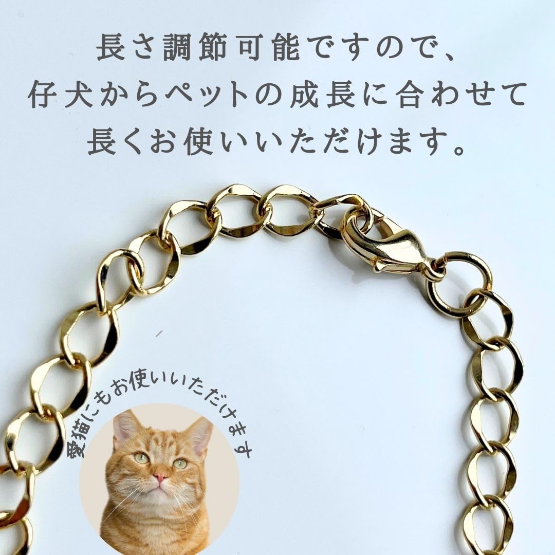 Amazon | 犬 迷子札 ネックレス チェーン ネームプレート おしゃれ