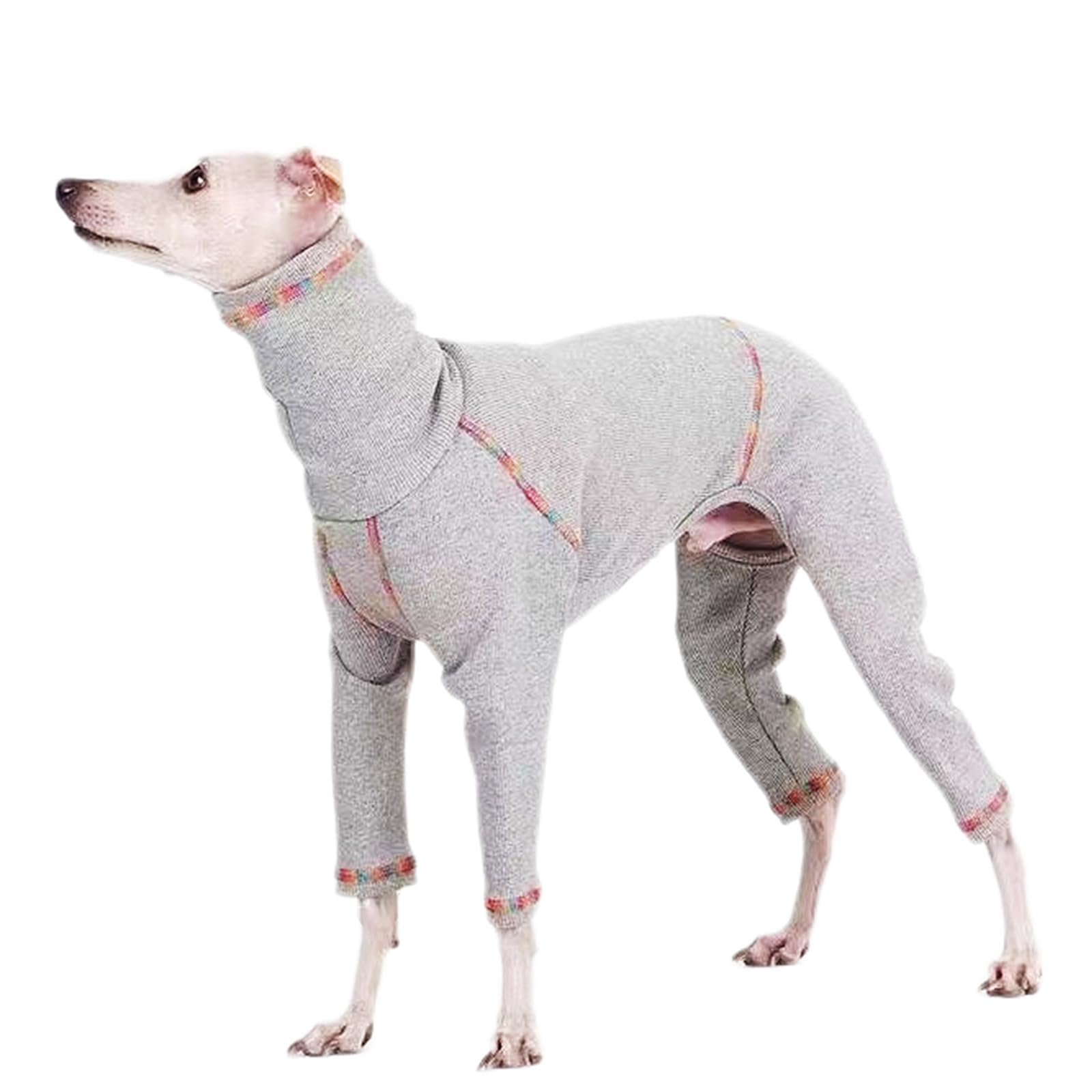 Pyjama basique à quatre pattes pour chien idéal pour les nuits fraîches en intérieur
