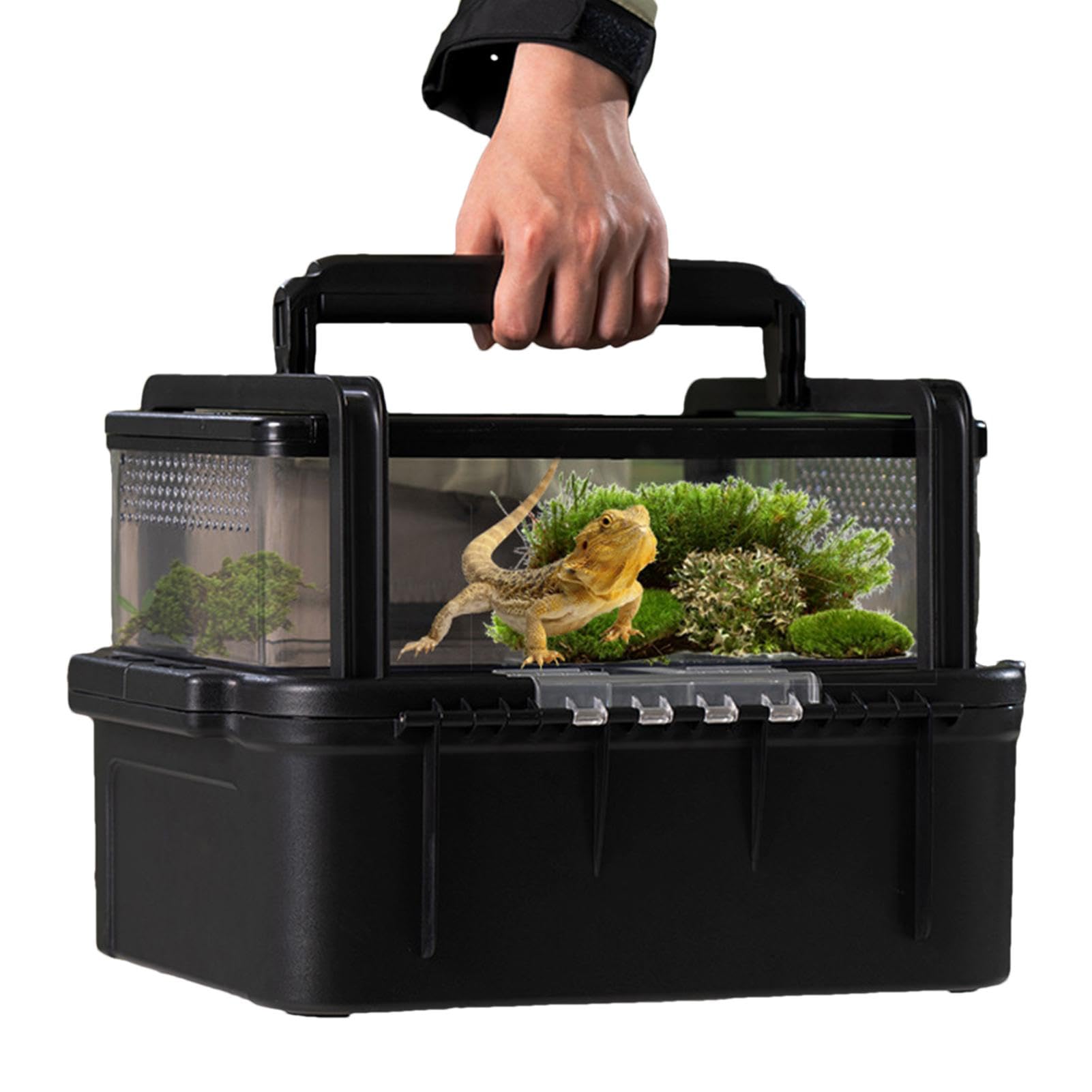 Pudełko do hodowli gadów, Pudełko do hodowli gadów , przenośne terrarium | Transporter podróżny dla gadów na zewnątrz Kemping Piesze wycieczki Wycieczka na świeżym powietrzu pr
