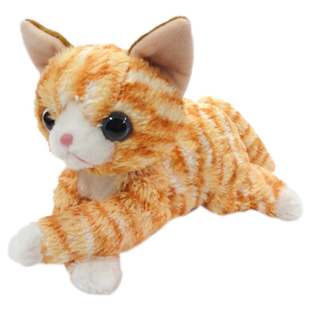 Amazon.co.jp: いっしょがいいね ビーンズ ぬいぐるみ 高さ22cm トラ猫