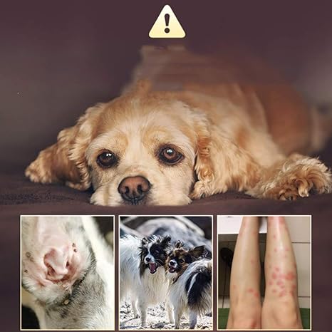 無料ダウンロード 犬 サソリ 食べる 犬 サソリ 食べる