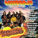  Flor De La Sabana