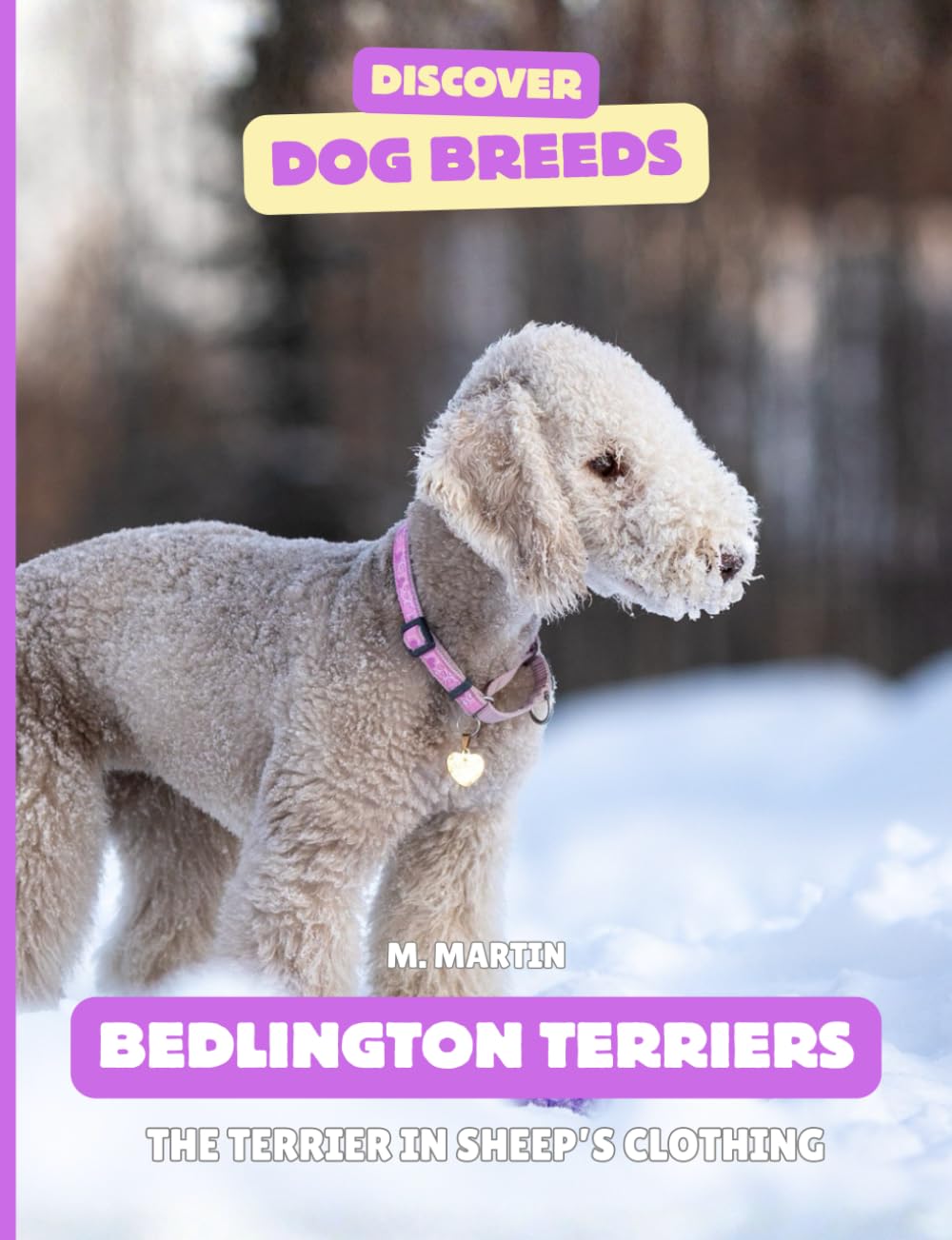 Bedlington Terriers: The Terriers in Sheep’s Clothing (Discover Dog Breeds)
