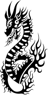 Suchergebnis Auf Amazon De Fur Drachen Aufkleber Auto Motorrad